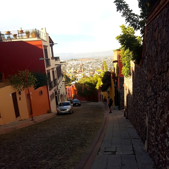 Meet your Posher, Elena - Picture 1 of 1